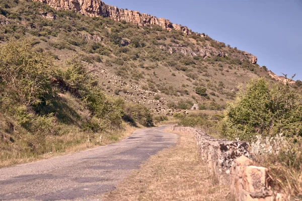 Carretera estrecha montaña asfalto — Foto de Stock