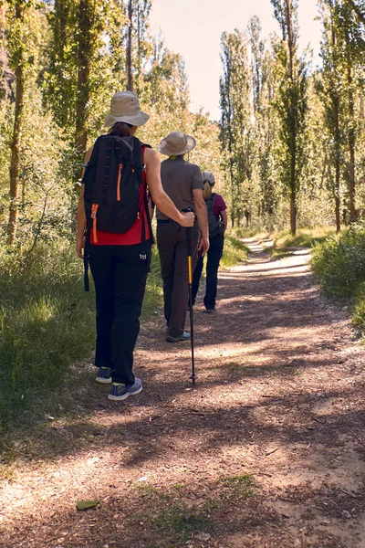 Vue Arrière Randonnées Pédestres Entre Hommes Femmes — Photo