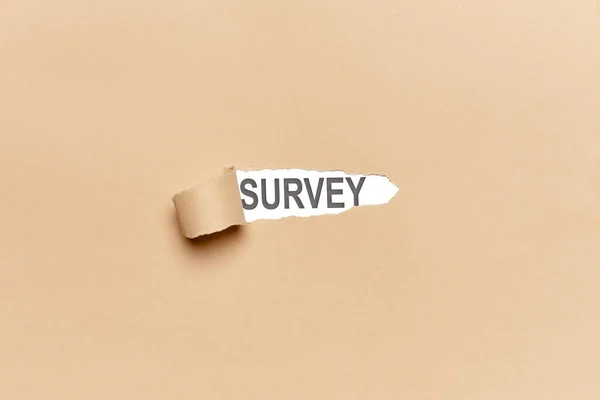 Broken Paper Hintergrund Mit Dem Wort Survey Business Konzept Bildung — Stockfoto