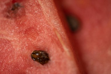 Kırmızı sulu karpuz dilimleri