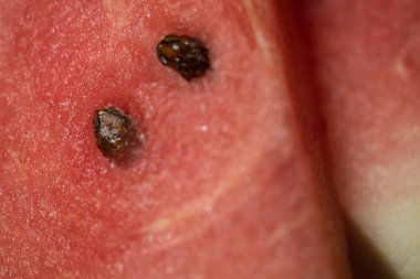 Kırmızı sulu karpuz dilimleri