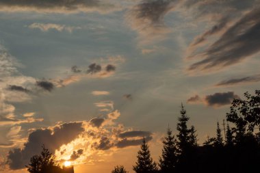 Güneş batarken ormanın üzerinde parlak sarı-turuncu renkler kümülüs koyu siyah renkli bulutlar..