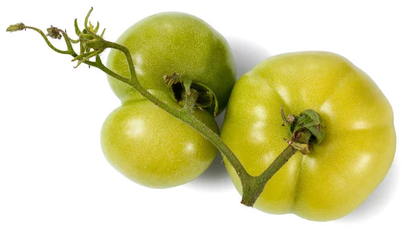 Imagen Una Rama Dos Tomates Verdes Primer Plano Con Sombras — Foto de Stock