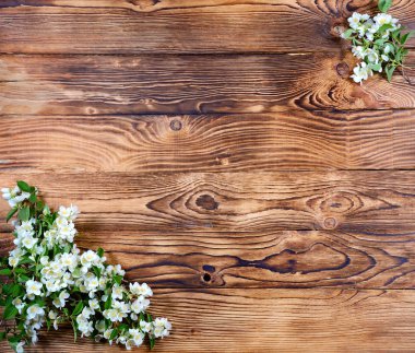 Tatil kartı yakın çekim için bir şablon olarak natürmort süs Yasemin iki demetleri eski panosunda şeklinde şubeleri