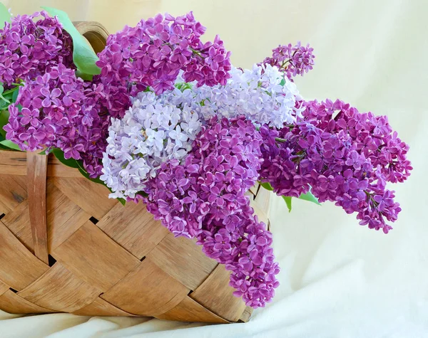 Lilac Still Life Form Part Large Bouquet Purple Lilac Branches — Stock Photo, Image