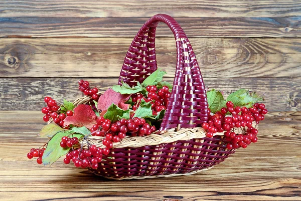 Picture Postcard Still Life Bouquet Viburnum Branches Green Leaves Clusters — Stock Photo, Image