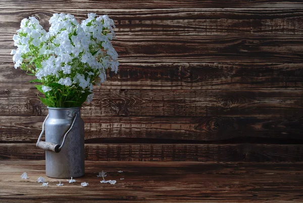 image of still life in the form of a bouquet of a flower of white Phlox close-up in a vase vintage old metal can on the background of a wooden shield in the summer