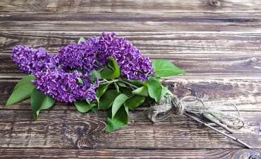 Duvar kağıdı için köy odanın içinde ahşap bir kalkan küçük bir öğleden sonra açık çiçek ile bir iple bağlı mor Eflatun çiçekler buket görüntüdür. Yan görünüm.