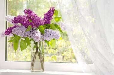 Natürmort mor Lila şube bir cam sürahi içinde küçük bir buket şeklinde yazın güneşli havalarda kırsal içinde beyaz tül kaplı beyaz pencere üstünde belgili tanımlık pencere tarafından yüklenir.