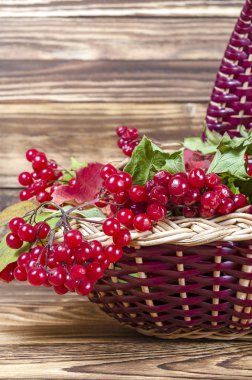 Kalina grup parçası yakın çekim