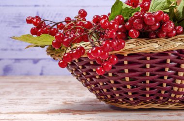 Kalina yatay sepet yakın çekim