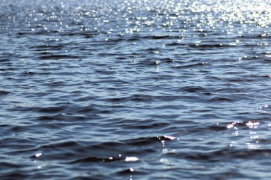 doku göl dalgaların