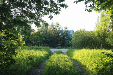 çiftlik doğada açık