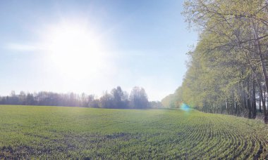Yatay yaz mevsimindeyiz. Yeşil ağaç ve otların arasında kırsal arazi