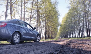 Yatay yaz mevsimindeyiz. Yeşil ağaç ve otların arasında kırsal arazi