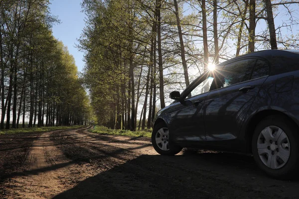 El paisaje es verano. Árboles verdes y hierba en una tierra rural — Foto de Stock