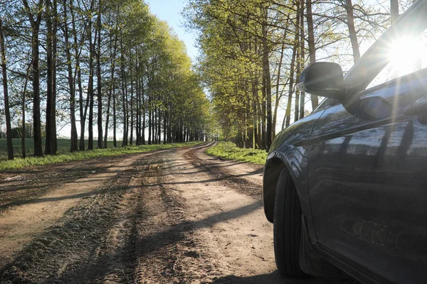 El paisaje es verano. Árboles verdes y hierba en una tierra rural — Foto de Stock