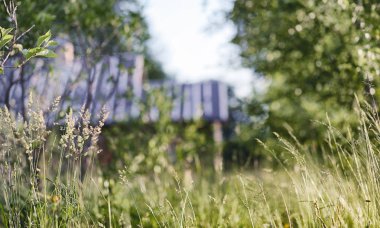 Yatay yaz mevsimindeyiz. Yeşil ağaç ve otların arasında kırsal arazi