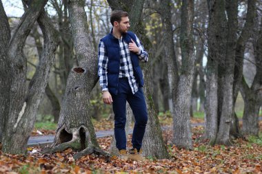 Genç adam bir sonbaharda sakal.