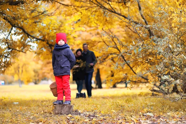 Családi őszi parkban délután — Stock Fotó