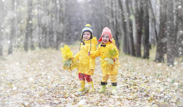 在秋季公园散步的蹒跚学步的孩子。第一霜冻和第一 — 图库照片