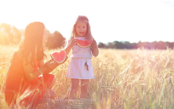 Rapariga num campo de trigo. Paisagem de verão e uma menina em um na — Fotografia de Stock