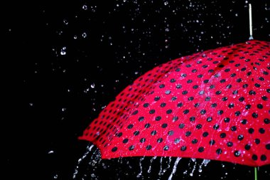 yağmur damla şemsiye izole