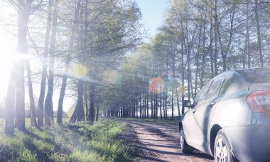 Yatay yaz mevsimindeyiz. Yeşil ağaç ve otların arasında kırsal arazi