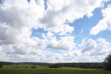 Yatay yaz mevsimindeyiz. Yeşil ağaç ve otların arasında kırsal arazi