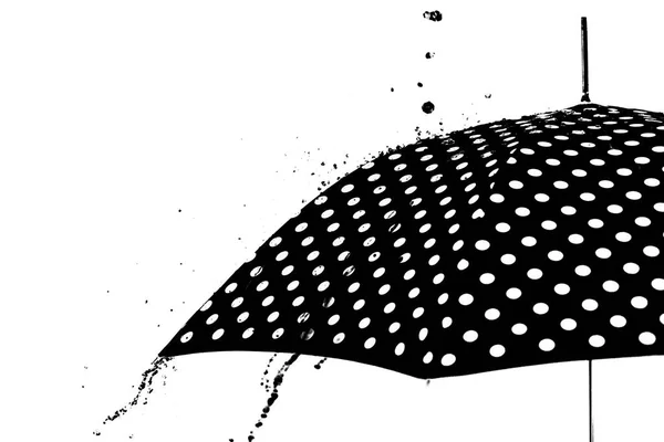 Chuva gota guarda-chuva isolado — Fotografia de Stock