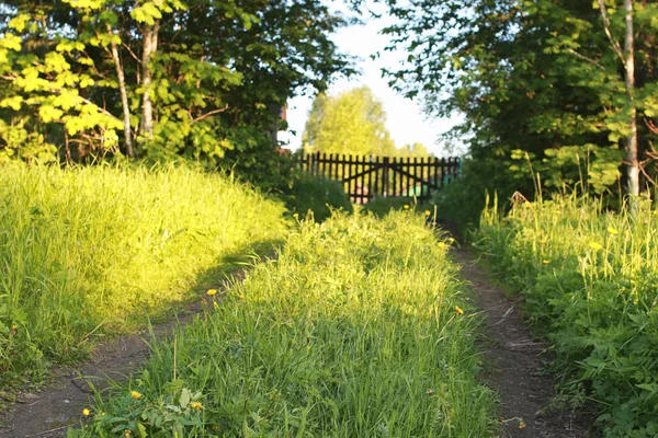 çiftlik doğada açık