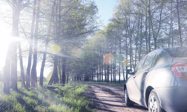 Yatay yaz mevsimindeyiz. Yeşil ağaç ve otların arasında kırsal arazi