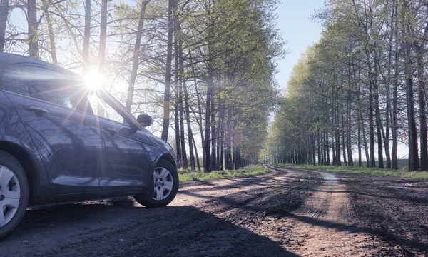 Yatay yaz mevsimindeyiz. Yeşil ağaç ve otların arasında kırsal arazi