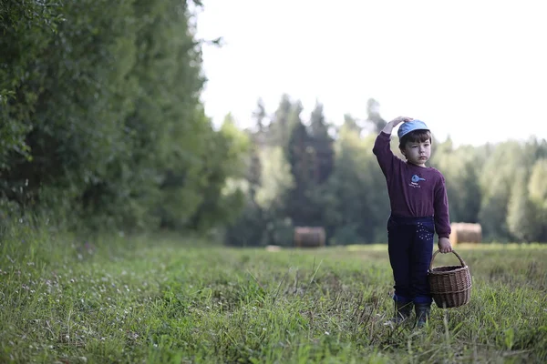 Barn går till skogen för svamp — Stockfoto