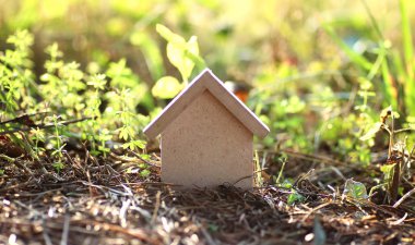 çimenlerin üzerinde evin düzeni