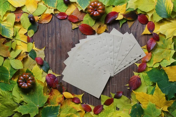 Jesienne liście tło z pusty papier — Zdjęcie stockowe