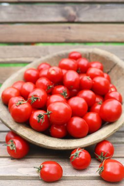 Taze domates bitki bir ahşap kase