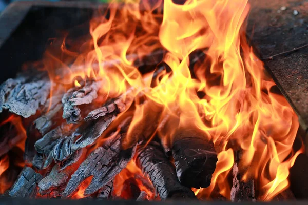 煤和火火焰 — 图库照片
