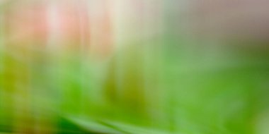 Pastel soyut dikey dalgalı çizgiler, arka plan