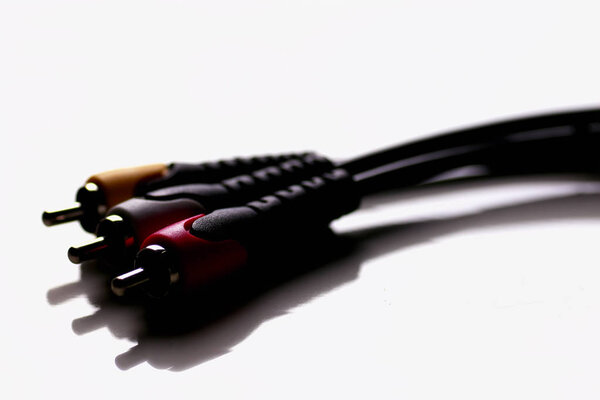 макро-цветной тюльпан
