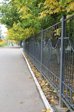 Açık mavi gökyüzünde sarı sonbahar yaprakları