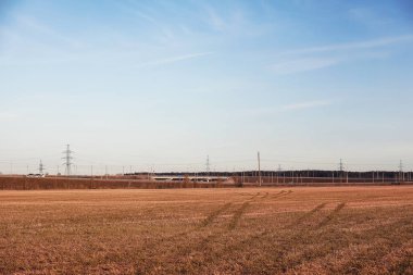 Sonbahar doğa. Yaprakları ve çalılar p sarı yaprakları ile
