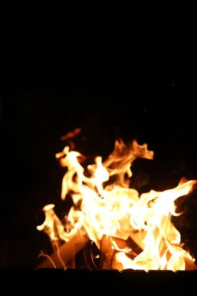 Las lenguas de la llama del fuego del color anaranjado-amarillo del abeto ardiente —  Fotos de Stock