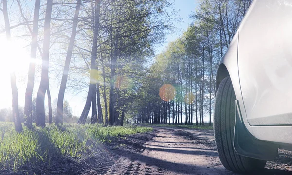 Yatay yaz mevsimindeyiz. Yeşil ağaç ve otların arasında kırsal arazi