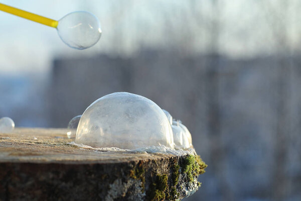 Soap bubbles freeze in the cold. Winter soapy water freezes in t