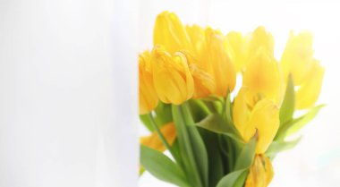 Pencere üzerinde bir vazoda kırmızı lale buketi. İçin bir hediye 