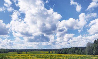 Yatay yaz mevsimindeyiz. Yeşil ağaç ve otların arasında kırsal arazi