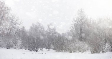 Karla kaplı Kış park ve banklar. Park ve beslenme için pier 