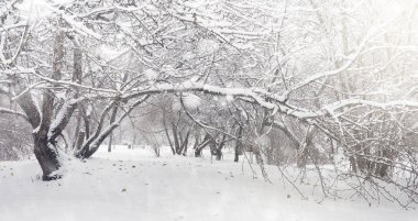 Karla kaplı Kış park ve banklar. Park ve beslenme için pier 