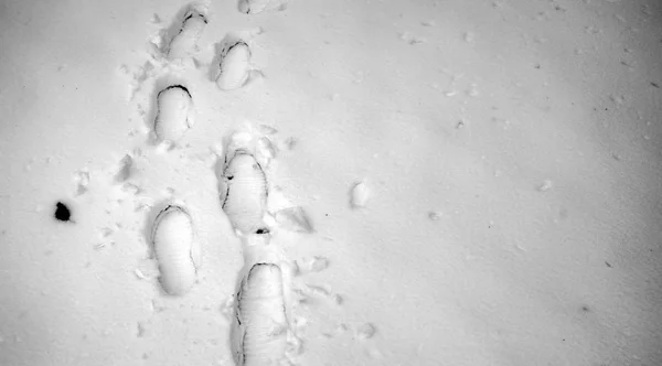 Fußabdrücke im Schnee. Fußspuren auf dem ersten Schnee. Impressum und — Stockfoto
